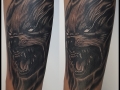 Freehand Wolf Tattoo by Israel White (Mr.White Tattoos)Ver video en blog