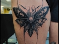 ButterflySkull from my special flashes (Made at International Tattoo Expo Roma) by Israel White  (@mrwhitetattoos)