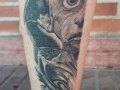 Dobby Tattoo Curado-Healed Tattoo by Israel White (Mr.White Tattoos)(Natural light)