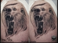 Polar Bear Healed TattooPolar Bear Healed Tattoo by Israel White (Mr.White Tattoos) by Israel White (Mr.White Tattoos)